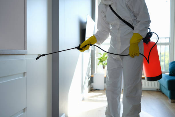 Best Professional Mold Removal  in Mayodan, NC