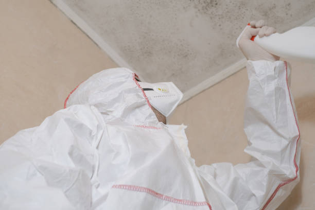 Best Commercial Mold Removal  in Mayodan, NC